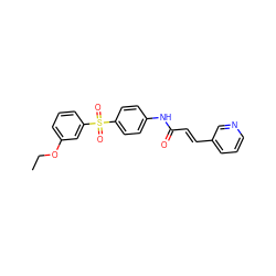 CCOc1cccc(S(=O)(=O)c2ccc(NC(=O)/C=C/c3cccnc3)cc2)c1 ZINC000142416642