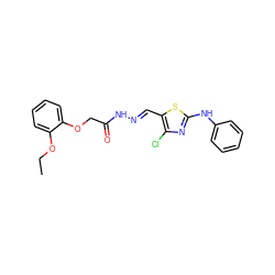 CCOc1ccccc1OCC(=O)N/N=C/c1sc(Nc2ccccc2)nc1Cl ZINC000002658868