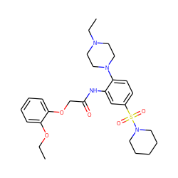 CCOc1ccccc1OCC(=O)Nc1cc(S(=O)(=O)N2CCCCC2)ccc1N1CCN(CC)CC1 ZINC000012522188