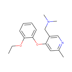 CCOc1ccccc1Oc1cc(C)ncc1CN(C)C ZINC000029125308