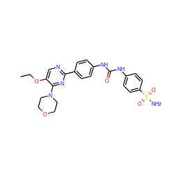 CCOc1cnc(-c2ccc(NC(=O)Nc3ccc(S(N)(=O)=O)cc3)cc2)nc1N1CCOCC1 ZINC000205770416