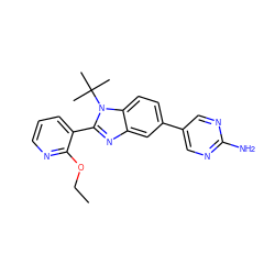 CCOc1ncccc1-c1nc2cc(-c3cnc(N)nc3)ccc2n1C(C)(C)C ZINC000169259374