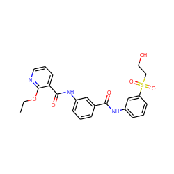 CCOc1ncccc1C(=O)Nc1cccc(C(=O)Nc2cccc(S(=O)(=O)CCO)c2)c1 ZINC000003584642