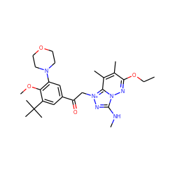 CCOc1nn2c(NC)n[n+](CC(=O)c3cc(N4CCOCC4)c(OC)c(C(C)(C)C)c3)c2c(C)c1C ZINC000115449608