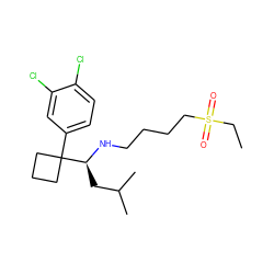 CCS(=O)(=O)CCCCN[C@@H](CC(C)C)C1(c2ccc(Cl)c(Cl)c2)CCC1 ZINC000219088962