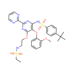 CCS(=O)(=O)NCCOc1nc(-c2ncccn2)nc(NS(=O)(=O)c2ccc(C(C)(C)C)cc2)c1Oc1ccccc1OC ZINC000028018984