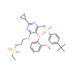 CCS(=O)(=O)NCCOc1nc(C2CC2)nc(NS(=O)(=O)c2ccc(C(C)(C)C)cc2)c1Oc1ccccc1OC ZINC000028090196