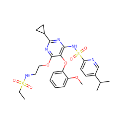 CCS(=O)(=O)NCCOc1nc(C2CC2)nc(NS(=O)(=O)c2ccc(C(C)C)cn2)c1Oc1ccccc1OC ZINC000028015282