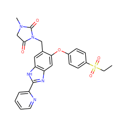 CCS(=O)(=O)c1ccc(Oc2cc3nc(-c4ccccn4)[nH]c3cc2CN2C(=O)CN(C)C2=O)cc1 ZINC000045347146