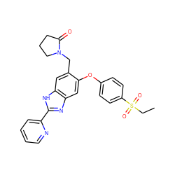 CCS(=O)(=O)c1ccc(Oc2cc3nc(-c4ccccn4)[nH]c3cc2CN2CCCC2=O)cc1 ZINC000045386411