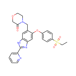 CCS(=O)(=O)c1ccc(Oc2cc3nc(-c4ccccn4)[nH]c3cc2CN2CCOCC2=O)cc1 ZINC000045351762