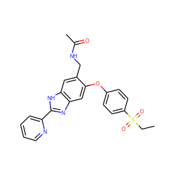 CCS(=O)(=O)c1ccc(Oc2cc3nc(-c4ccccn4)[nH]c3cc2CNC(C)=O)cc1 ZINC000045388315