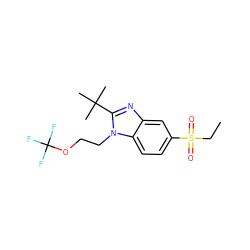 CCS(=O)(=O)c1ccc2c(c1)nc(C(C)(C)C)n2CCOC(F)(F)F ZINC000072141179