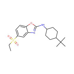 CCS(=O)(=O)c1ccc2oc(NC3CCC(C(C)(C)C)CC3)nc2c1 ZINC000073313160