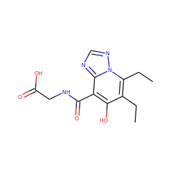 CCc1c(O)c(C(=O)NCC(=O)O)c2ncnn2c1CC ZINC000116305835