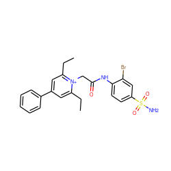 CCc1cc(-c2ccccc2)cc(CC)[n+]1CC(=O)Nc1ccc(S(N)(=O)=O)cc1Br ZINC000013804353