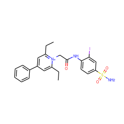 CCc1cc(-c2ccccc2)cc(CC)[n+]1CC(=O)Nc1ccc(S(N)(=O)=O)cc1I ZINC000026743924