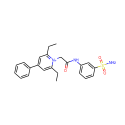 CCc1cc(-c2ccccc2)cc(CC)[n+]1CC(=O)Nc1cccc(S(N)(=O)=O)c1 ZINC000013804281