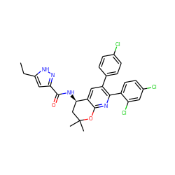 CCc1cc(C(=O)N[C@@H]2CC(C)(C)Oc3nc(-c4ccc(Cl)cc4Cl)c(-c4ccc(Cl)cc4)cc32)n[nH]1 ZINC000049784964