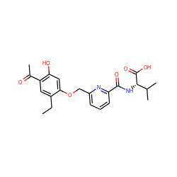 CCc1cc(C(C)=O)c(O)cc1OCc1cccc(C(=O)N[C@H](C(=O)O)C(C)C)n1 ZINC000028456878