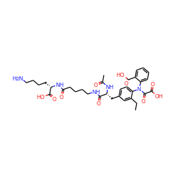 CCc1cc(C[C@@H](NC(C)=O)C(=O)NCCCCC(=O)N[C@@H](CCCCN)C(=O)O)ccc1N(C(=O)C(=O)O)c1ccccc1C(=O)O ZINC000029546721