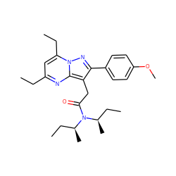 CCc1cc(CC)n2nc(-c3ccc(OC)cc3)c(CC(=O)N([C@@H](C)CC)[C@H](C)CC)c2n1 ZINC000653901848