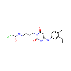 CCc1cc(Nc2cc(=O)n(CCCCNC(=O)CCl)c(=O)[nH]2)ccc1C ZINC000013674991