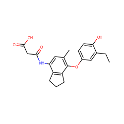 CCc1cc(Oc2c(C)cc(NC(=O)CC(=O)O)c3c2CCC3)ccc1O ZINC000095594153