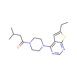 CCc1cc2c(N3CCN(C(=O)CC(C)C)CC3)ncnc2s1 ZINC000031850028