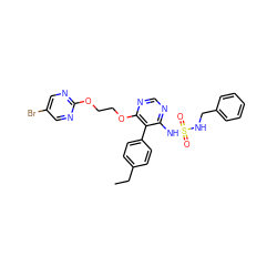 CCc1ccc(-c2c(NS(=O)(=O)NCc3ccccc3)ncnc2OCCOc2ncc(Br)cn2)cc1 ZINC000095553198