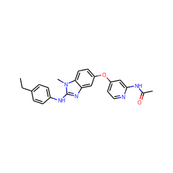 CCc1ccc(Nc2nc3cc(Oc4ccnc(NC(C)=O)c4)ccc3n2C)cc1 ZINC000167325347