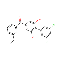 CCc1cccc(C(=O)c2cc(O)c(-c3cc(Cl)cc(Cl)c3)c(O)c2)c1 ZINC000473108840