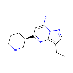 CCc1cnn2c(N)cc([C@@H]3CCCNC3)nc12 ZINC000066259697