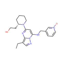 CCc1cnn2c(NCc3ccc[n+]([O-])c3)cc(N3CCCC[C@H]3CCO)nc12 ZINC000034894449