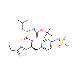 CCc1csc([C@H](Cc2ccc(NS(=O)(=O)O)cc2)NC(=O)[C@H](CC(C)C)NC(=O)OC(C)(C)C)n1 ZINC000114377108