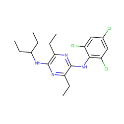 CCc1nc(NC(CC)CC)c(CC)nc1Nc1c(Cl)cc(Cl)cc1Cl ZINC000028956159