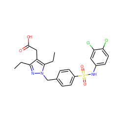 CCc1nn(Cc2ccc(S(=O)(=O)Nc3ccc(Cl)c(Cl)c3)cc2)c(CC)c1CC(=O)O ZINC000169704031