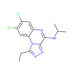 CCc1nnc2c(NC(C)C)nc3cc(Cl)c(Cl)cc3n12 ZINC000026295863