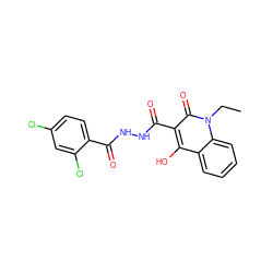 CCn1c(=O)c(C(=O)NNC(=O)c2ccc(Cl)cc2Cl)c(O)c2ccccc21 ZINC000100551306