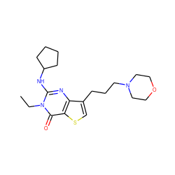 CCn1c(NC2CCCC2)nc2c(CCCN3CCOCC3)csc2c1=O ZINC000299836129