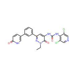 CCn1nc(-c2cccc(-c3ccc(=O)[nH]c3)c2)cc(NC(=O)Nc2c(Cl)cncc2Cl)c1=O ZINC000141114168