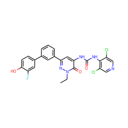 CCn1nc(-c2cccc(-c3ccc(O)c(F)c3)c2)cc(NC(=O)Nc2c(Cl)cncc2Cl)c1=O ZINC000141122032