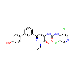 CCn1nc(-c2cccc(-c3ccc(O)cc3)c2)cc(NC(=O)Nc2c(Cl)cncc2Cl)c1=O ZINC000141120254