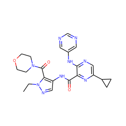 CCn1ncc(NC(=O)c2nc(C3CC3)cnc2Nc2cncnc2)c1C(=O)N1CCOCC1 ZINC000169701792