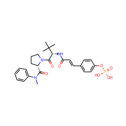 CN(C(=O)[C@@H]1CCCN1C(=O)[C@@H](NC(=O)/C=C/c1ccc(OP(=O)(O)O)cc1)C(C)(C)C)c1ccccc1 ZINC000653787743