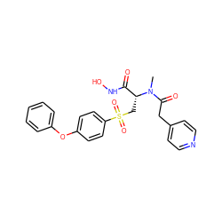 CN(C(=O)Cc1ccncc1)[C@H](CS(=O)(=O)c1ccc(Oc2ccccc2)cc1)C(=O)NO ZINC000026655283