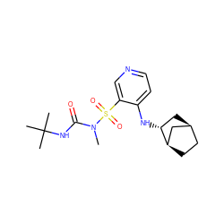 CN(C(=O)NC(C)(C)C)S(=O)(=O)c1cnccc1N[C@@H]1C[C@H]2CC[C@@H]1C2 ZINC000071296937