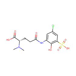 CN(C)[C@@H](CCC(=O)Nc1cc(Cl)cc(S(=O)(=O)O)c1O)C(=O)O ZINC000149331235