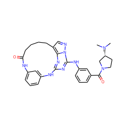 CN(C)[C@@H]1CCN(C(=O)c2cccc(Nc3nc4nc5c(cnn35)CCCCC(=O)Nc3cccc(c3)N4)c2)C1 ZINC000029129415