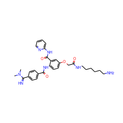 CN(C)C(=N)c1ccc(C(=O)Nc2ccc(OCC(=O)NCCCCCCN)cc2C(=O)Nc2ccccn2)cc1 ZINC000217116002